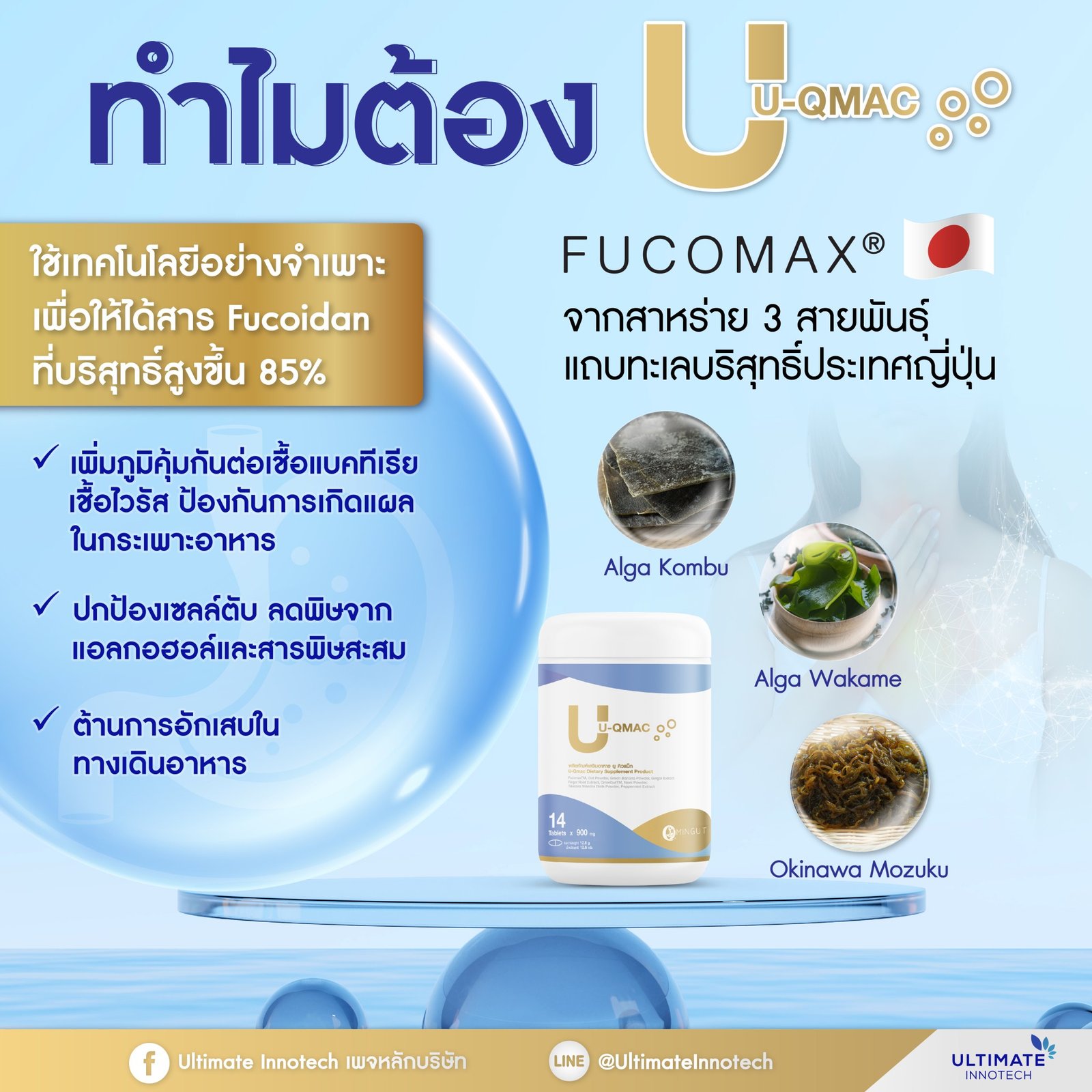FUCOMAX ใน U-QMAC